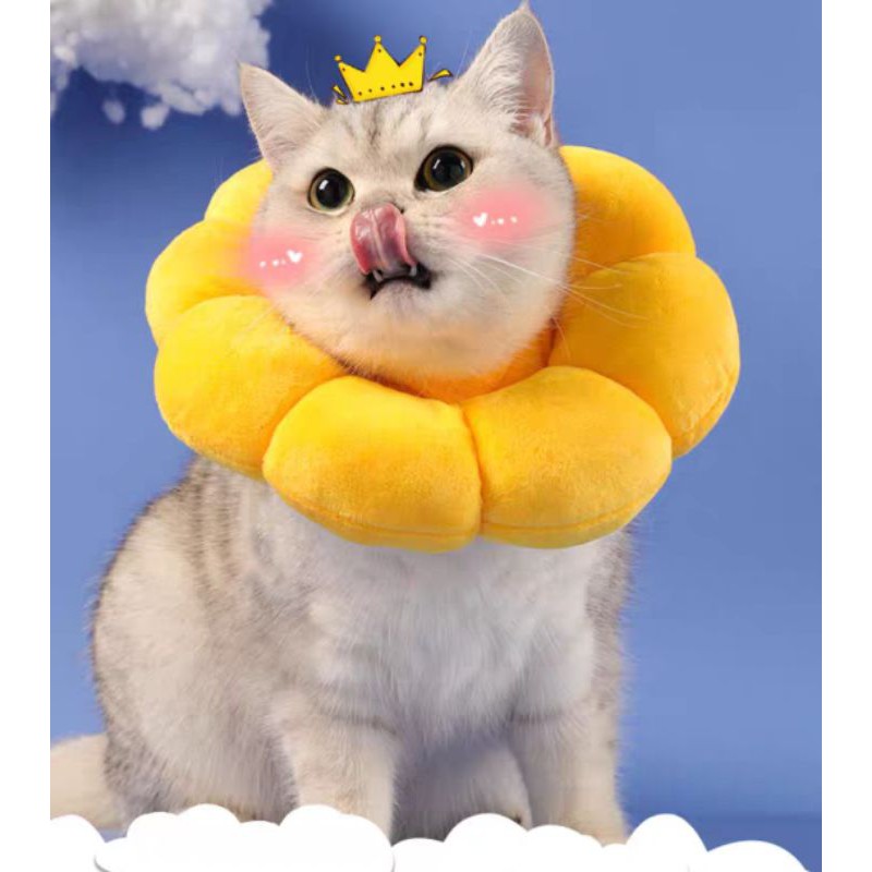 [SG] Pet Dog Cat Protective Collar Neck Anti-Bite Soft Anti-Scratch Elizabeth surgery cloth sunflower cone E collar