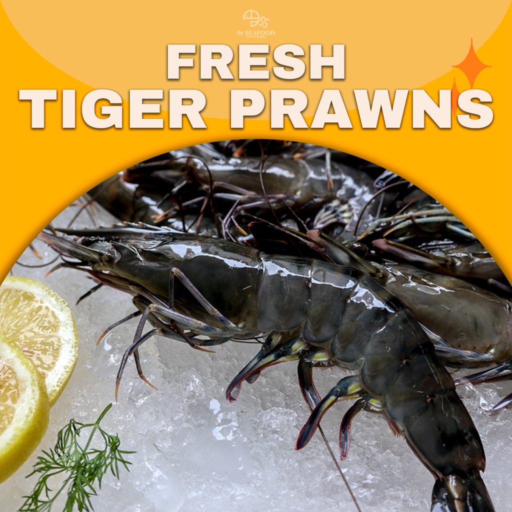 9S Seafood Fresh & Wild Caught Tiger Prawn 虎蝦