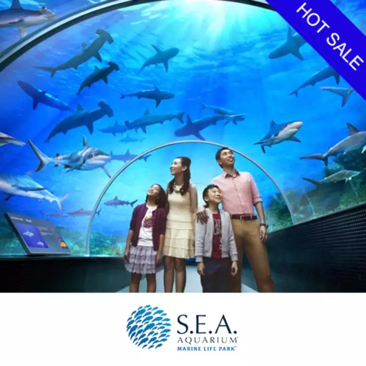 S.E.A Aquarium (Direct Entry) CHILD Standard Ticket (4-12 Years Old) (Open date) - INSTANT DELIVERY