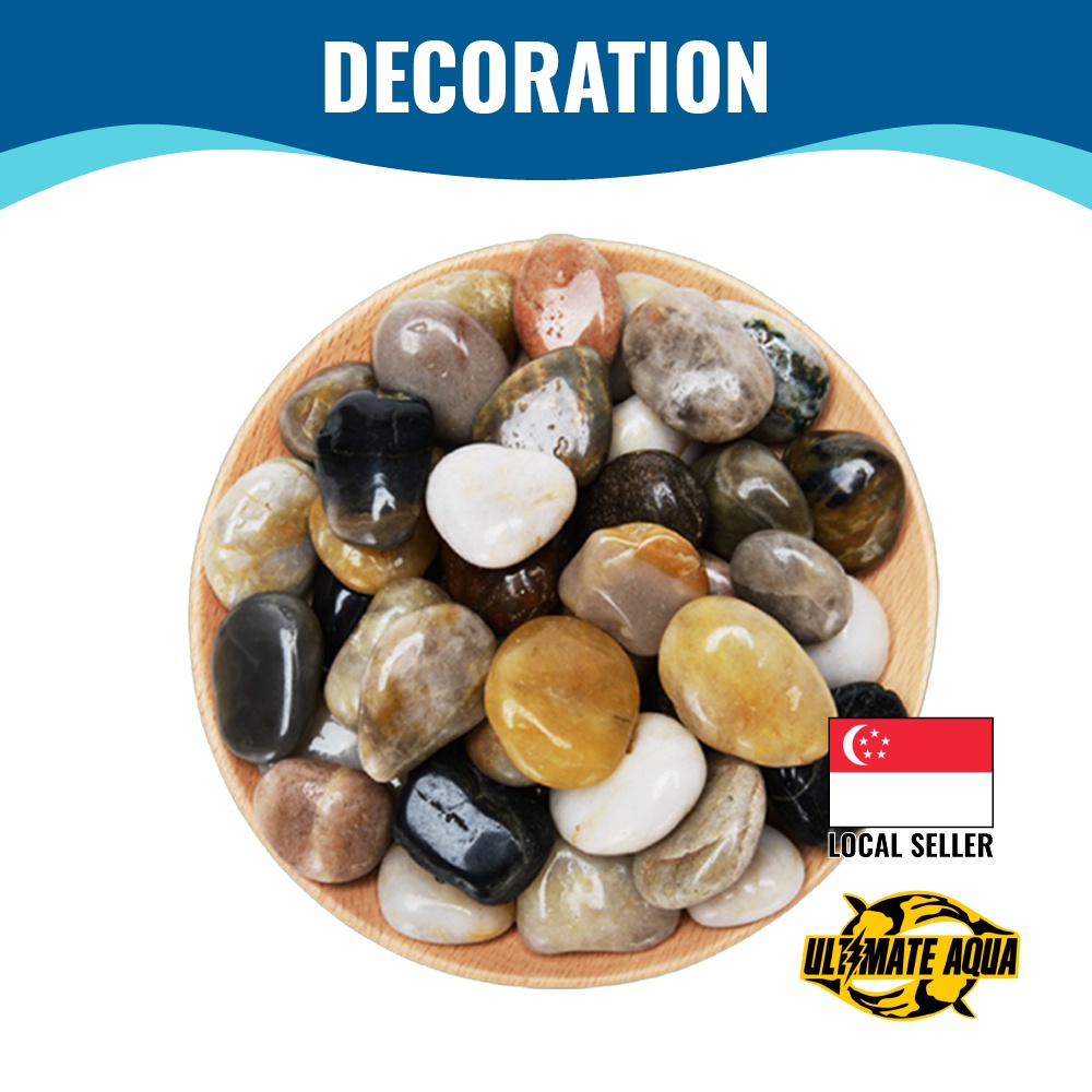 YEE Aquarium Stone, Fish Tank Decoration Stone, Shells And Sand, Building Your Stunning Ecological Tank