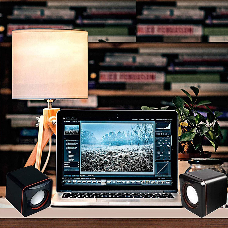 Speaker Image 5