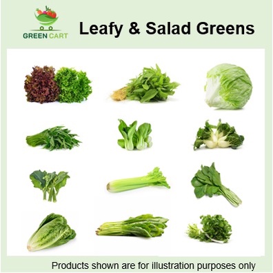 [Greencartsg] Fresh Vegetables – Leafy and Salad Greens