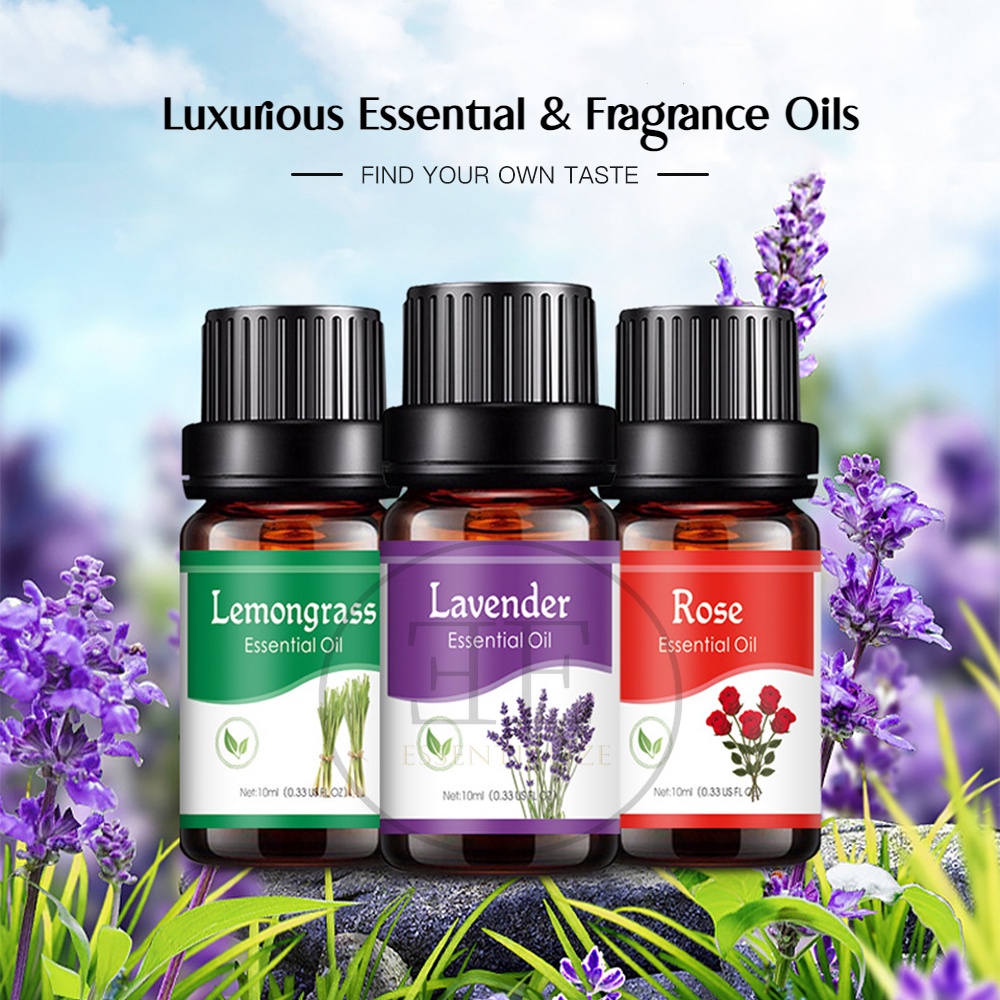 Luxurious Water Soluble Essential Oil Aromatherapy Diffuser Humidifier Fragrance Oil Air Purifier Home Office Gift Aroma