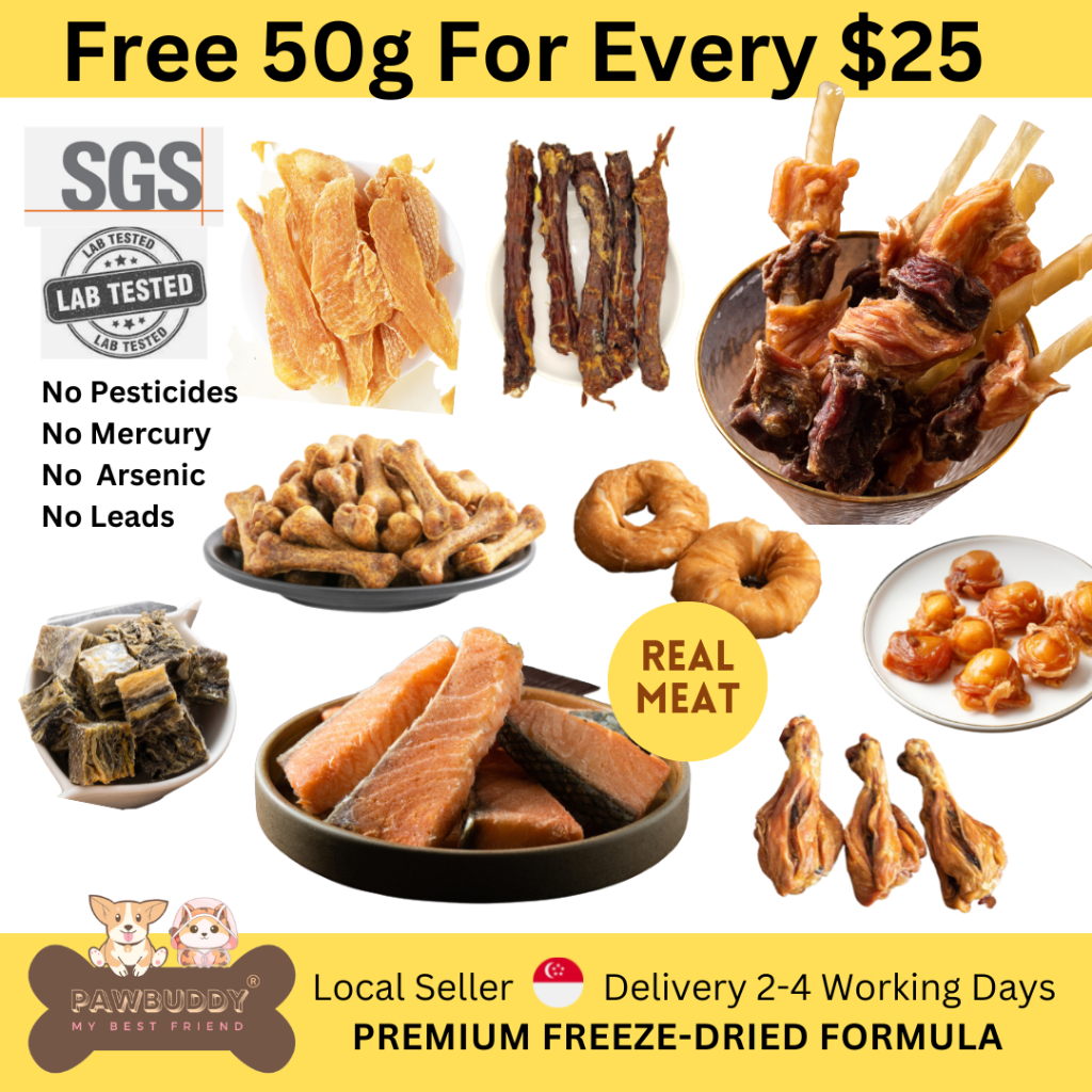 Dehydrated Free 100g Air Dried Chicken Beef Salmon 100% Natural Single-Ingredient Pet Treat Dog Snack