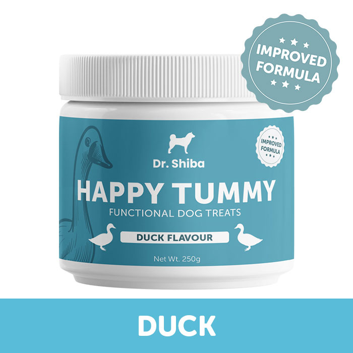 Dr. Shiba Dog Supplement Healthy Functional Treats Happy Tummy